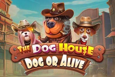 Thedoghousedogoralive слот Глори Казино